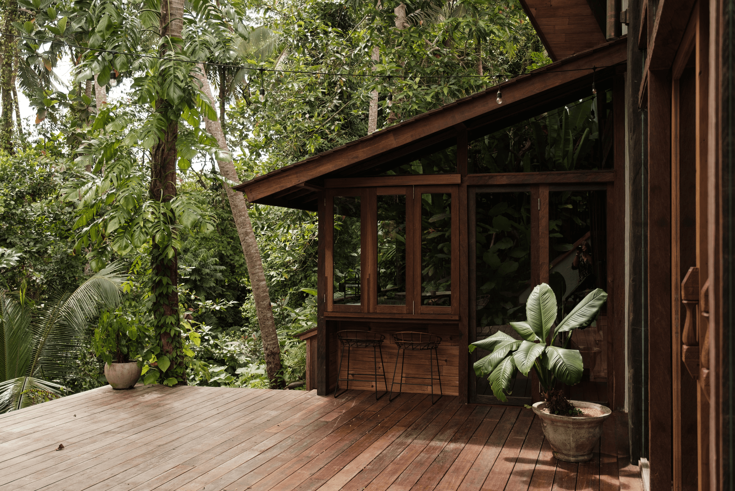 A forest cottage deck surrounded by dense greenery